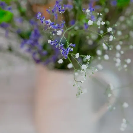 아파트 Typical Alfama Apartment, By Timecooler